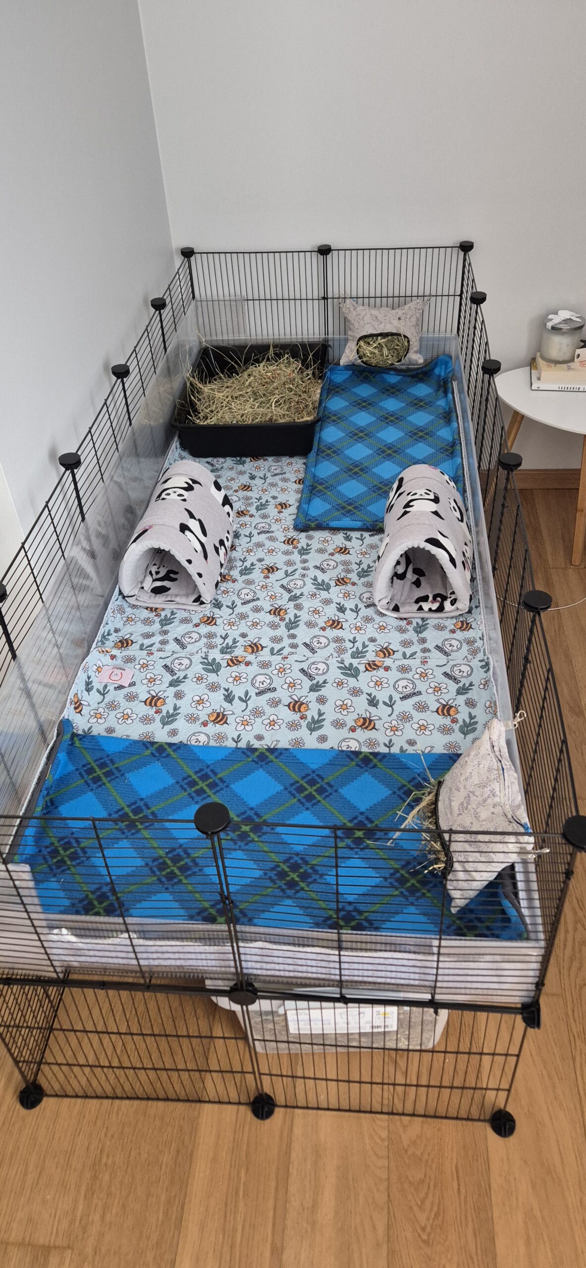 notsiku pissilapid notsiku pissilapid