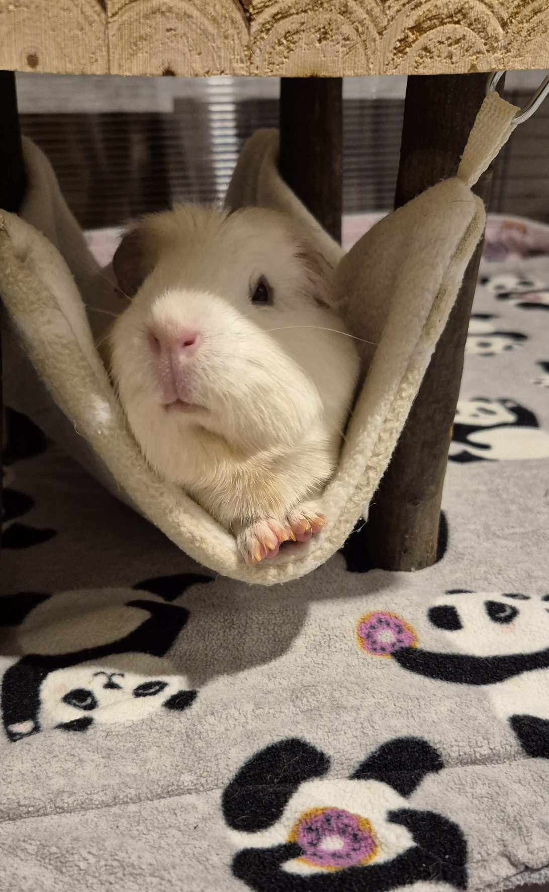 Mandel kiigel Mandel kiigel