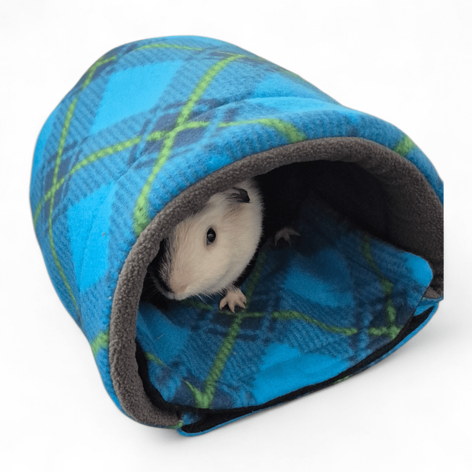 Doomino Iglus Doomino Iglus