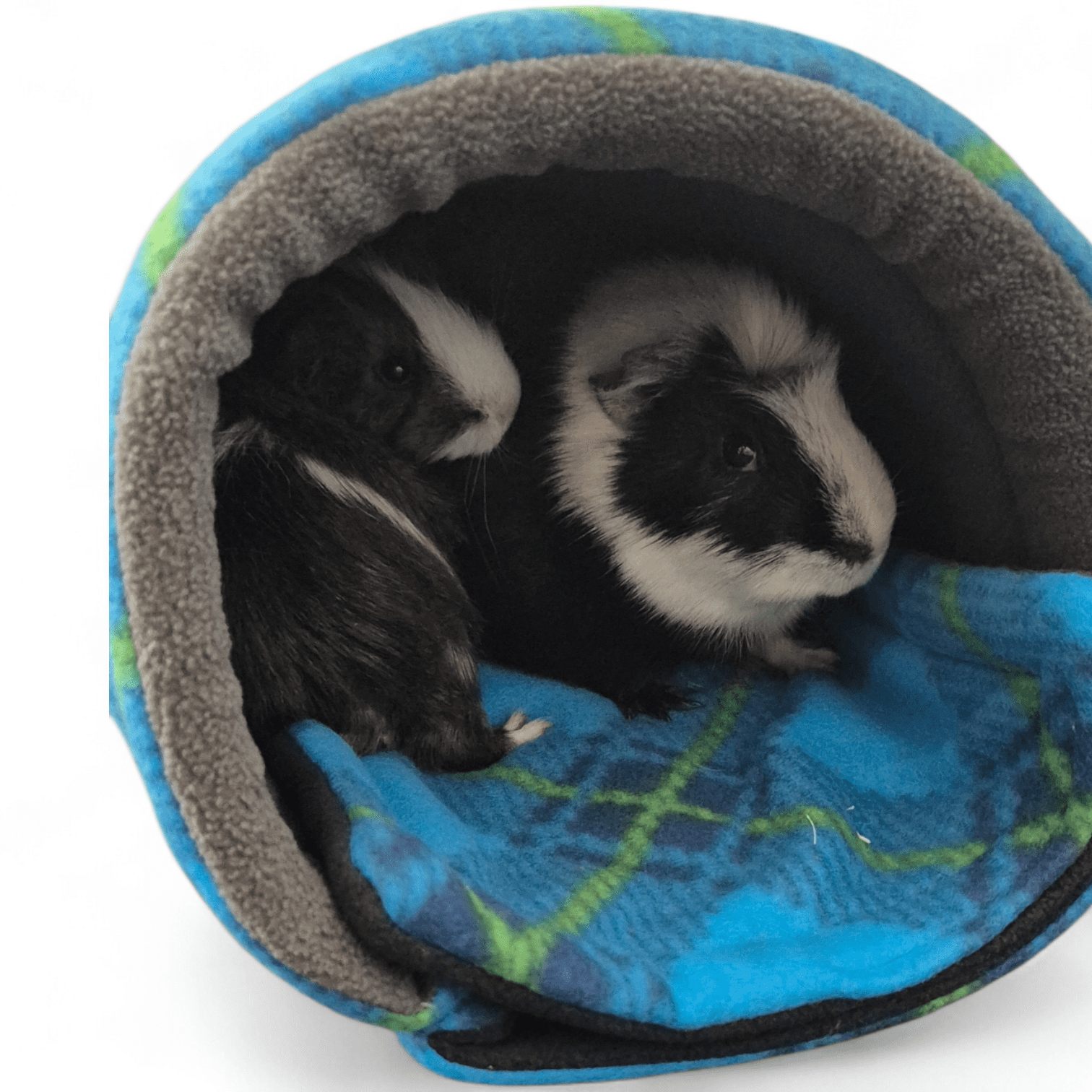 Doomino ja Dattel Iglus Doomino ja Dattel Iglus