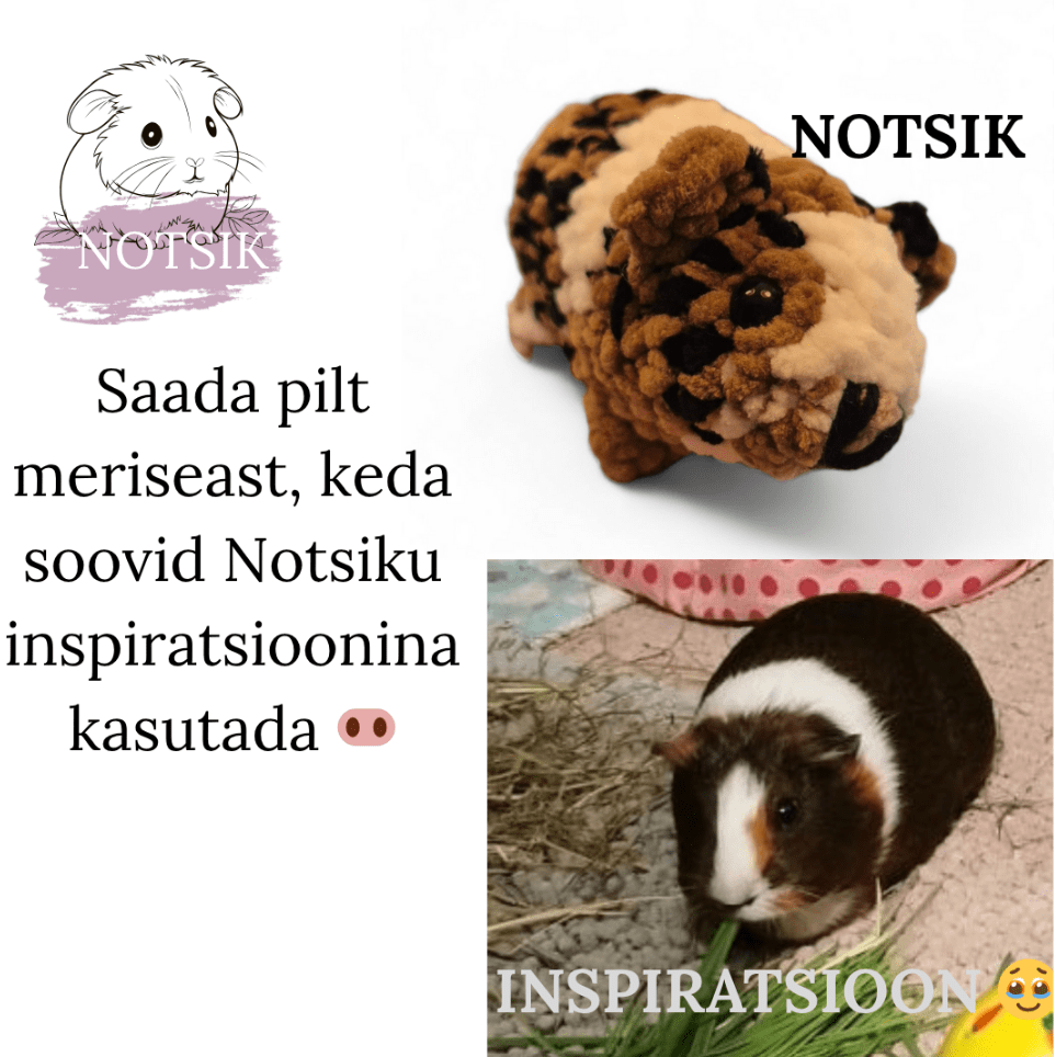 heegeldatud notsik heegeldatud notsik