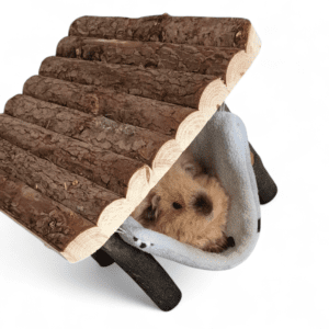 NOTSIKU Kiik ja kiigeriied 20260112 131350