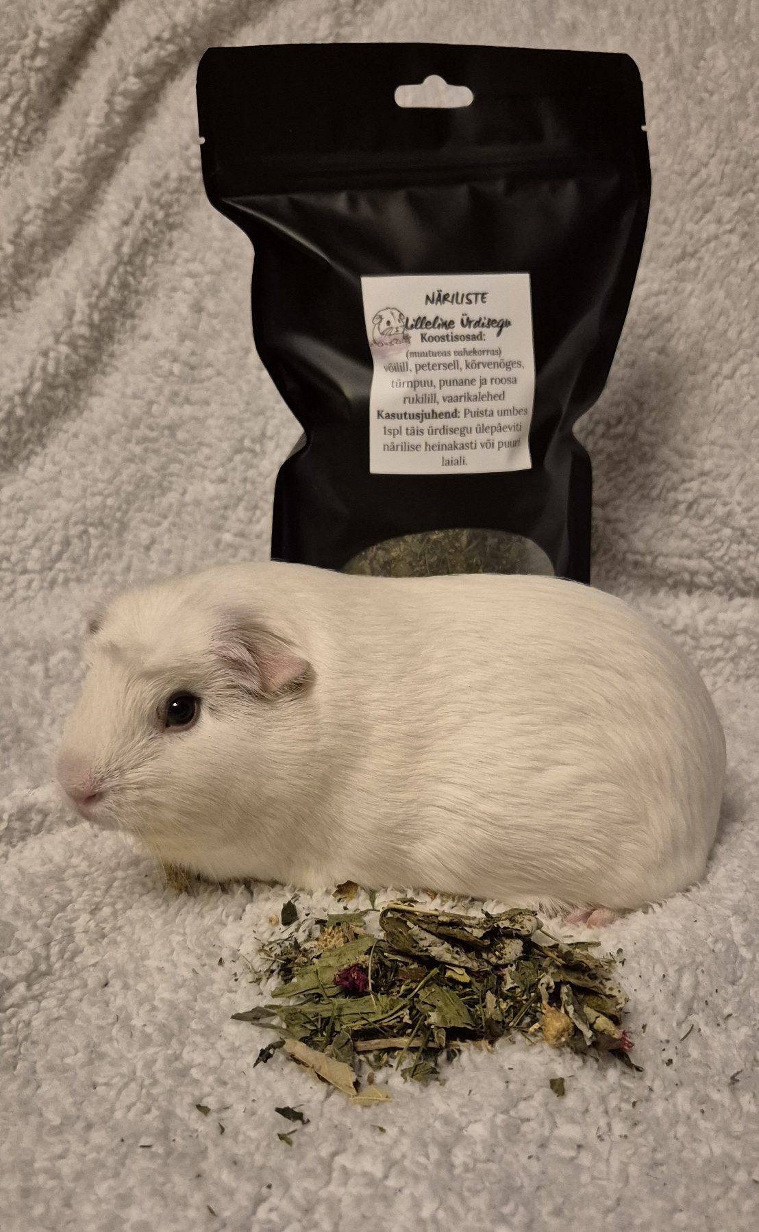 20260227 215142 20260227 215142