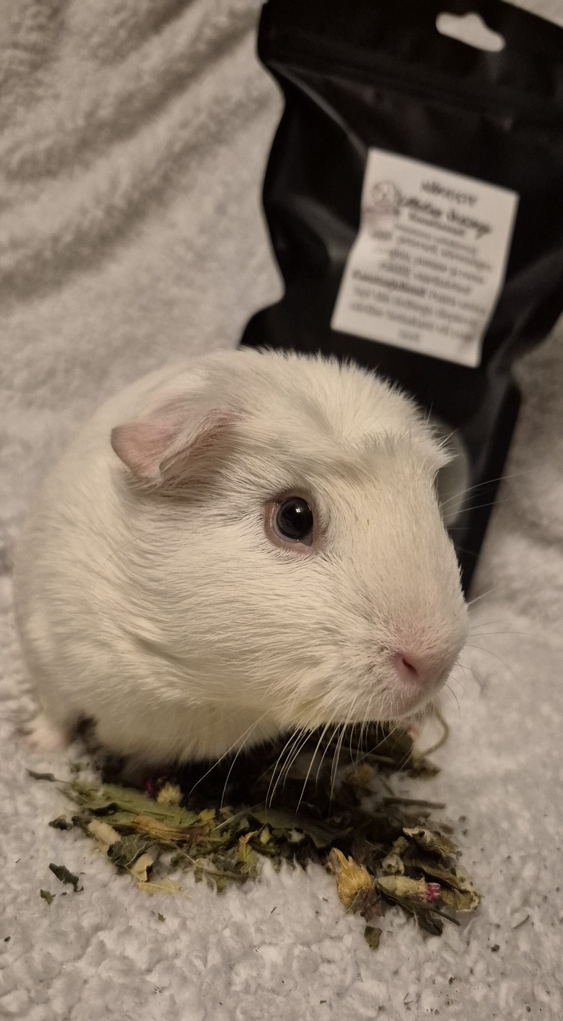 20260227 215251 20260227 215251