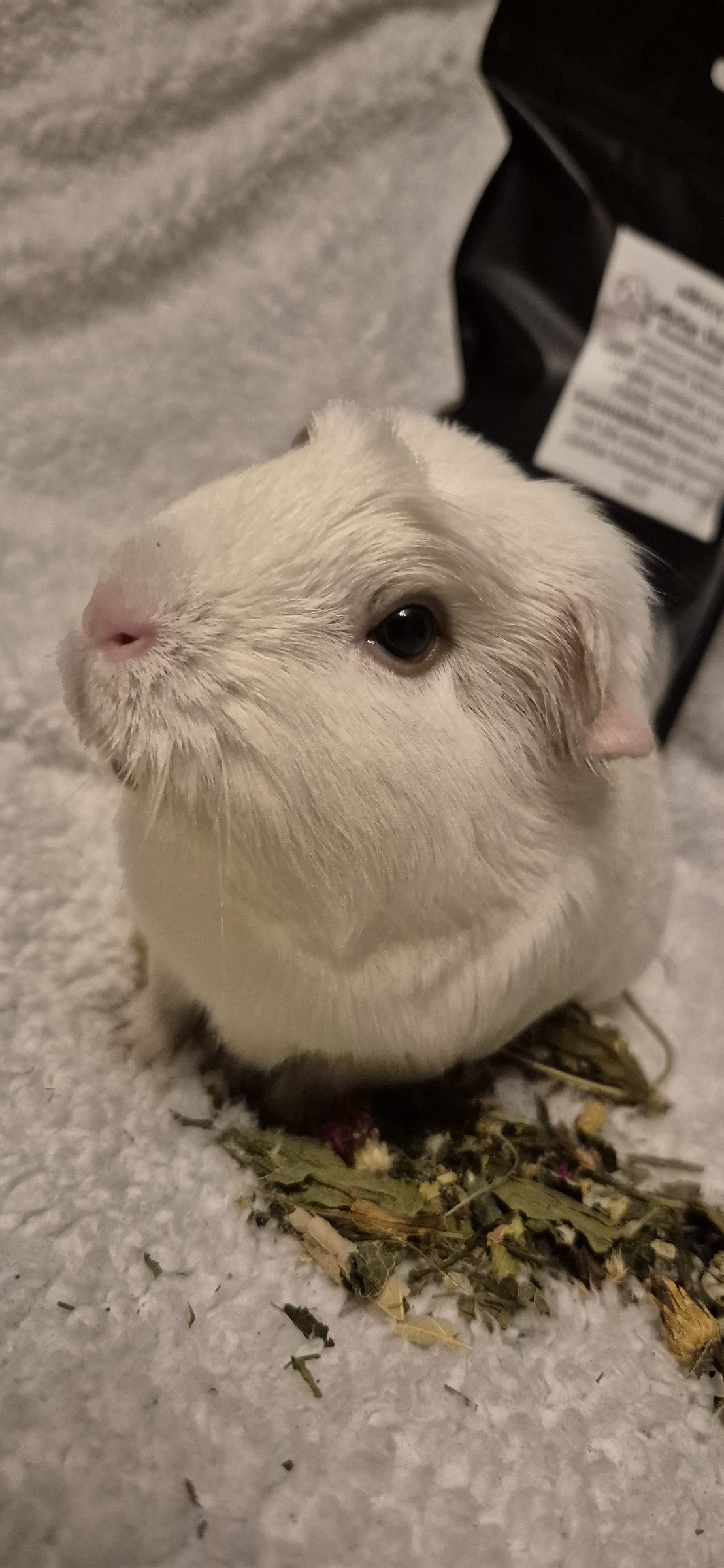 20260227 215258 20260227 215258