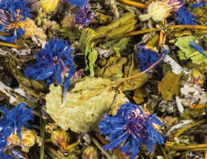 Notsiku Ürdisegu - UUS! notsiku lillesegu uus! nosimissegu närilistele